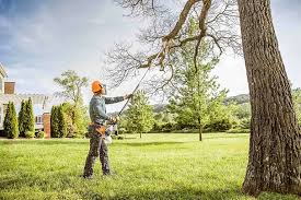 Chambersburg, PA Tree Care Company